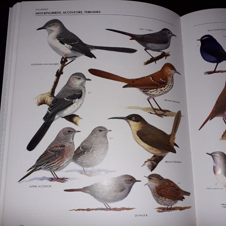 The Illustrated Encyclopaedia of Birds by Christopher Perrins(hardback book)