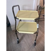 Mobility home help trolley