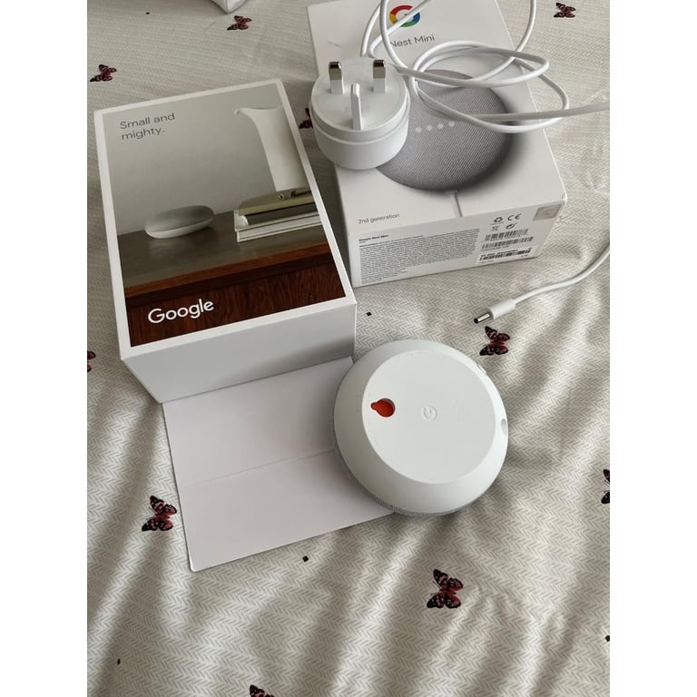 Goggle Nest Mini