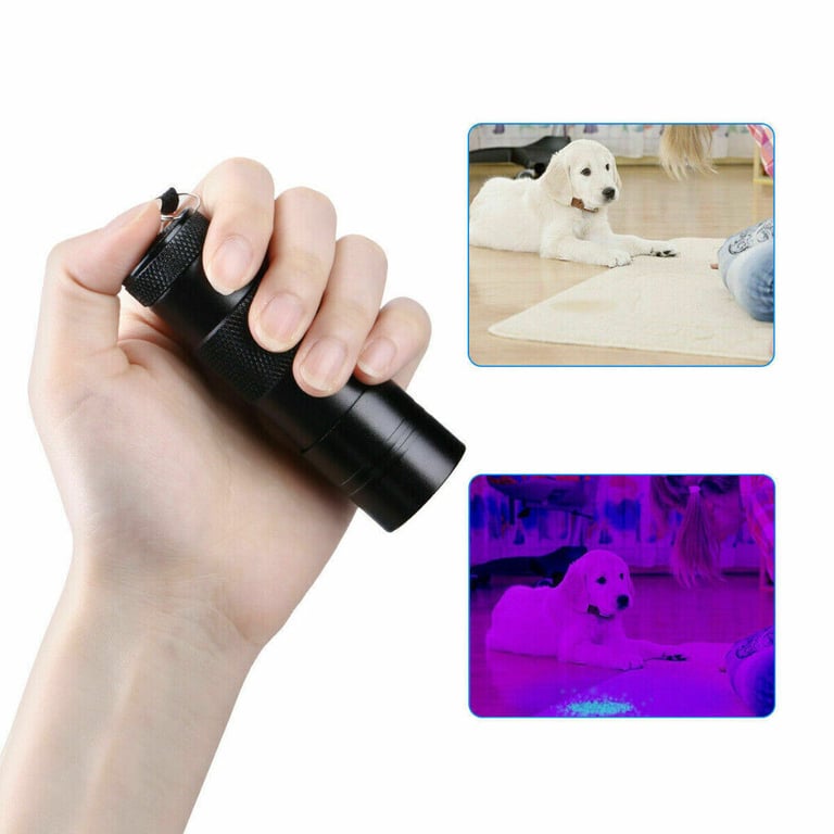 12 LED ULTRA VIOLET BLACKLIGHT UV TORCH ALUMINIUM BODY FLASHLIGHT LIGHT LAMP