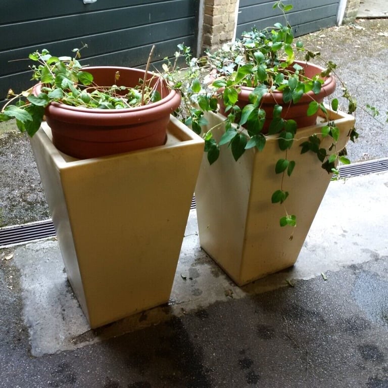 very large garden or patio plant pot stands with large pots | in Willesden,  London | Gumtree