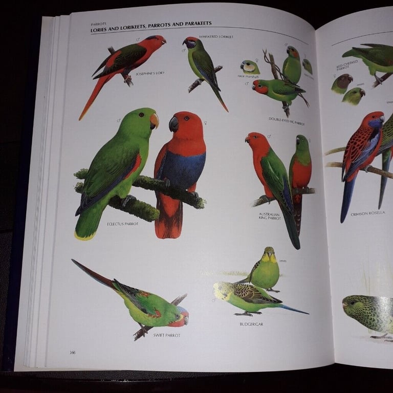 The Illustrated Encyclopaedia of Birds by Christopher Perrins(hardback book)