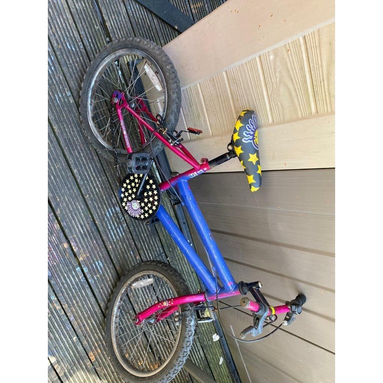 Girls mountain bike age 6+