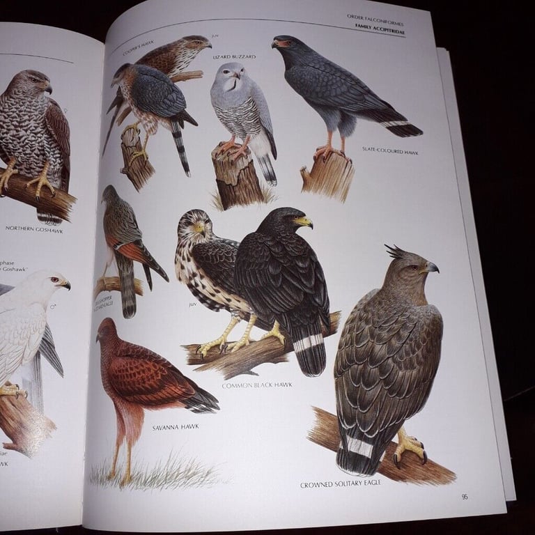 The Illustrated Encyclopaedia of Birds by Christopher Perrins(hardback book)