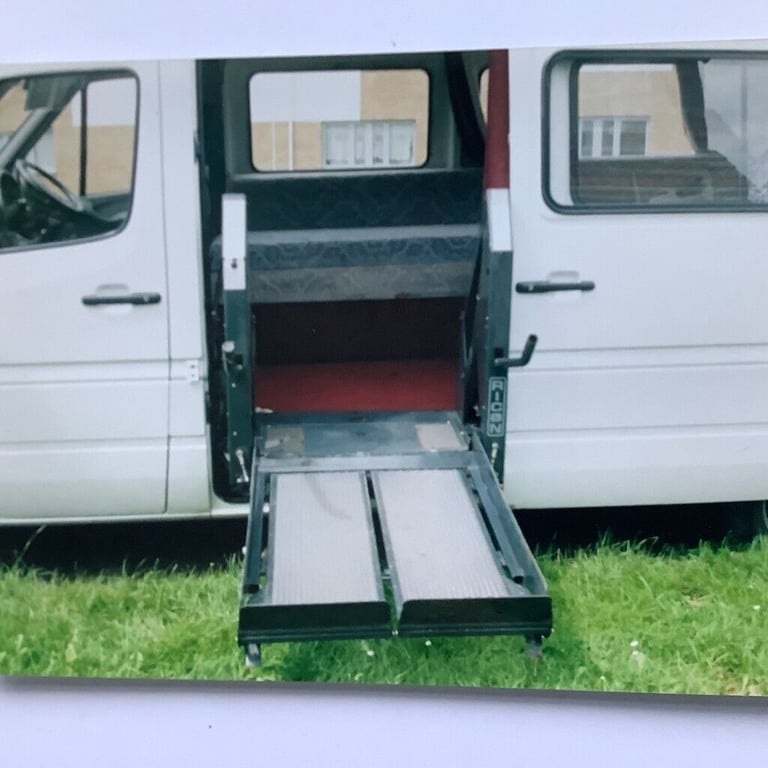 Mobility hoist for a van