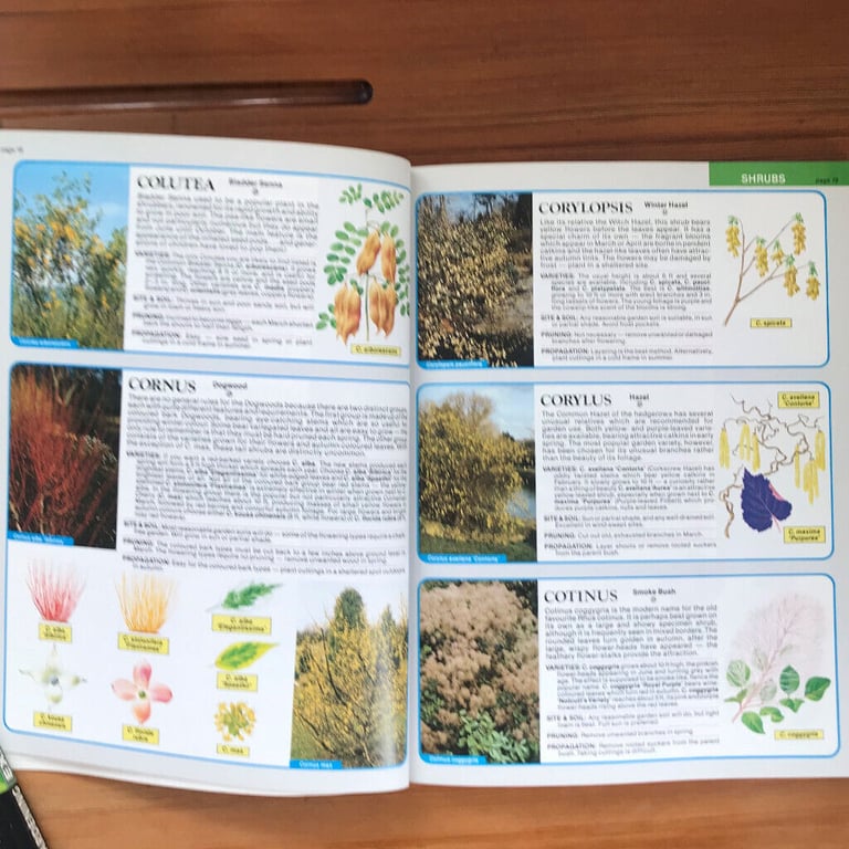 The Tree & Shrub Expert book. Dr. D. G. Hessayon. Paperback. Happy to post.