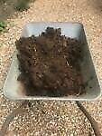 Well rotted fabulous organic cow manure