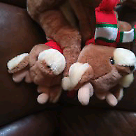 Two plush Christmas deers £5