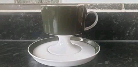 image for ROSENTHAL STUDIO LINE CUP AND SAUCER 
