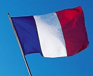 image for French Tutor All Levels