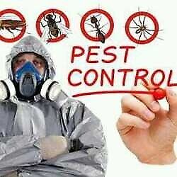 Pest inspection shop near me