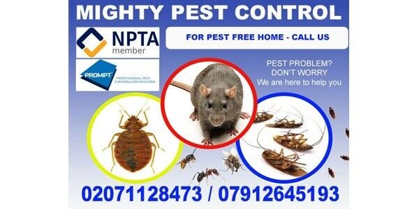 Pest Control Team avatar