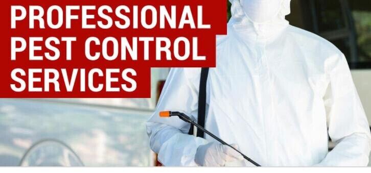 image for Mice and Rodent Exterminator mouse proofing 24/7 pest control call   