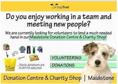 Volunteers needed at the Dogs Trust Donation Centre Maidstone