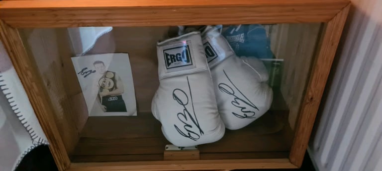 image for Signed enzo macarinelli boxing gloves in case 