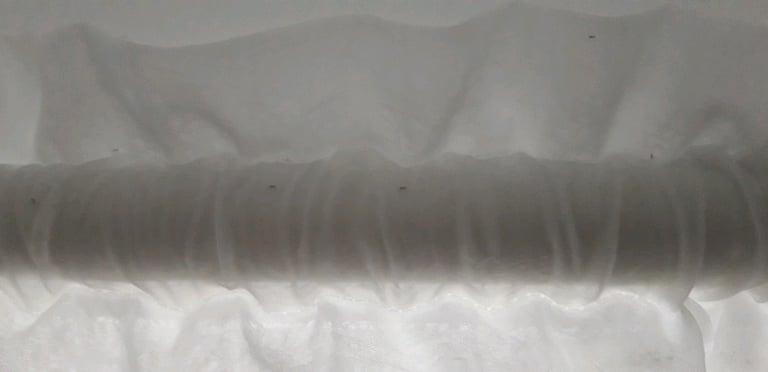 Curtains (set of 3+2) - reduced price 