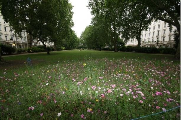 '*2 BEDROOM FLAT** AT PIMLICO SW1V - ZONE 1  Outside Space and near public gardens