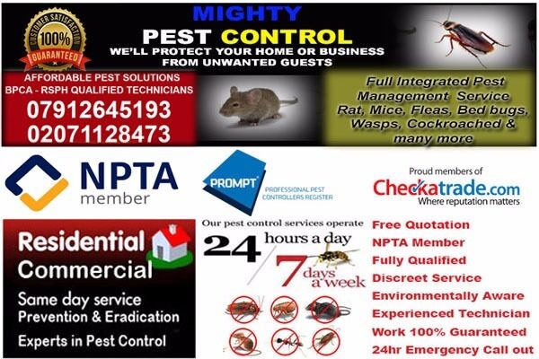 Pest Control Extermination & Fumigation Service Deptford Greenwich Woolwich Bexley Lewisham Erith 