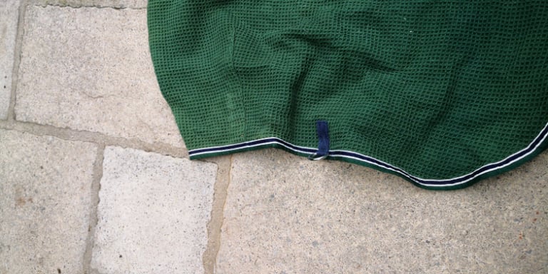 image for Green Sweat / Travel rug 6'
