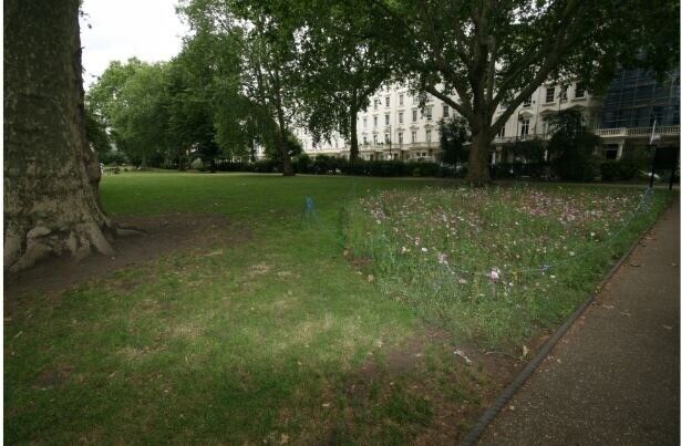 '*2 BEDROOM FLAT** AT PIMLICO SW1V - ZONE 1  Outside Space and near public gardens