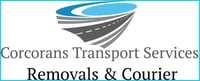 vip logo