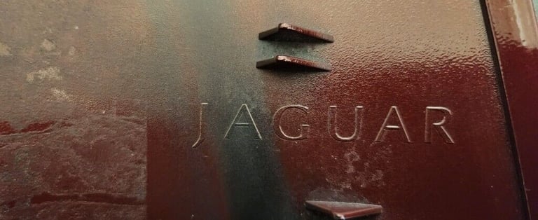 image for Jaguar XE wing mirror cover 