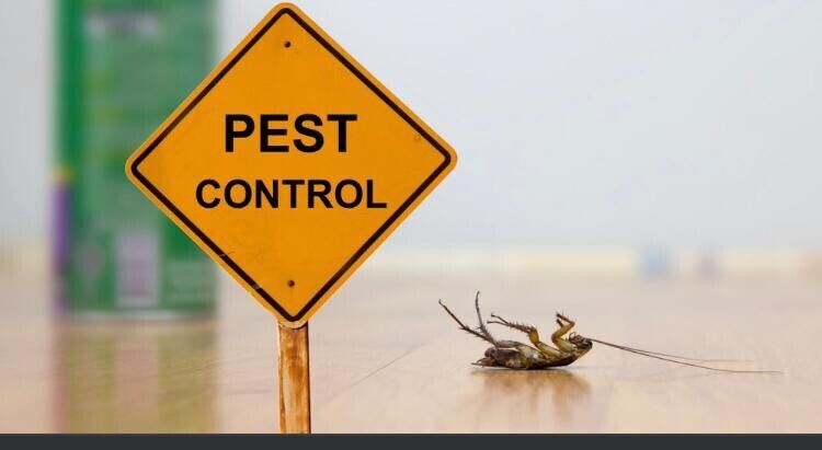 24/7 guaranteed pest control services Rat Mice Bedbugs Cockroaches 
