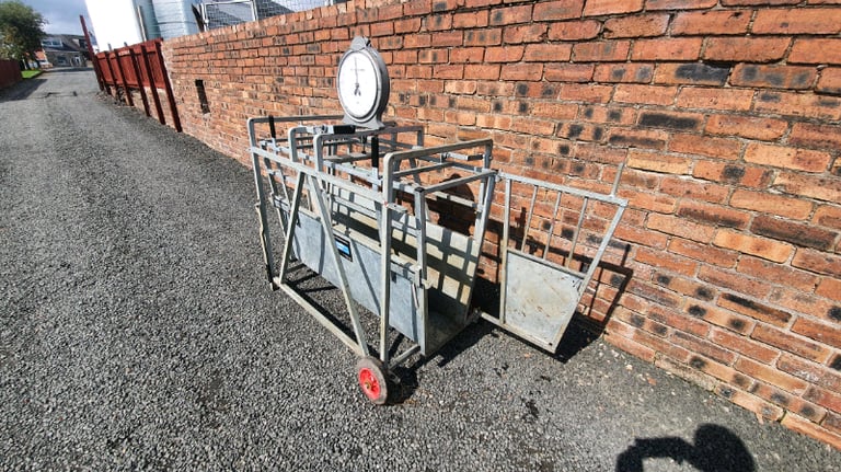 Bateman galvanised sheep lamb weigh scales farm livestock tractor 
