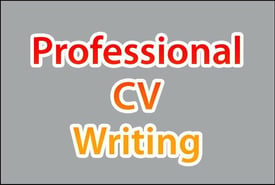 Professional CV Writing Service, CV Writer with 700+ Great Reviews, CV Help, Amending & Editing