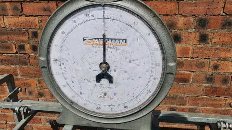 Bateman galvanised sheep lamb weigh scales farm livestock tractor 