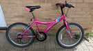 Apollo star 20&quot; kids bike