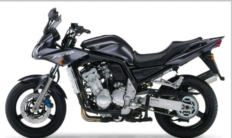 Yamaha FZS 1000 Fazer rear hugger