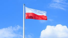 Polish language online