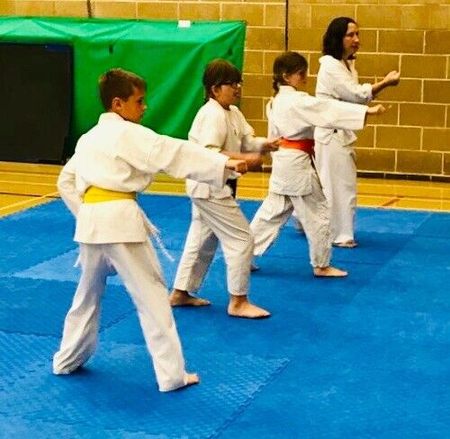 Karate in Abingdon - non-profit - ideal for adults and juniors
