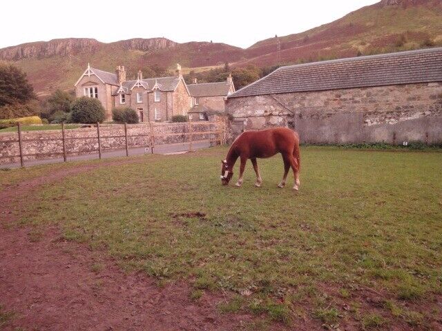 DIY Livery Stables Kinross