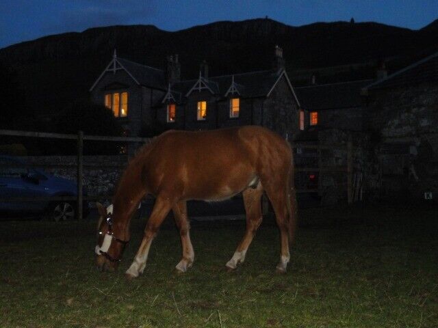 DIY Livery Stables Kinross