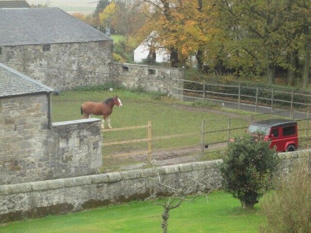 DIY Livery Stables Kinross