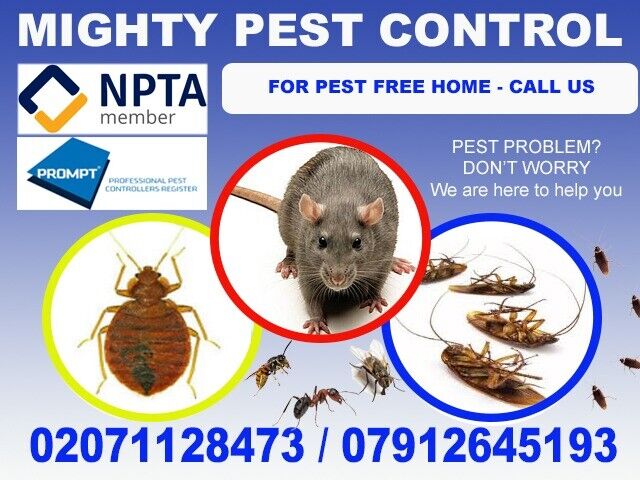 100% Guaranteed Domestic & Commercial Pest Control Services Bed Bugs,Flea,Cockroaches,Mice,Wasps