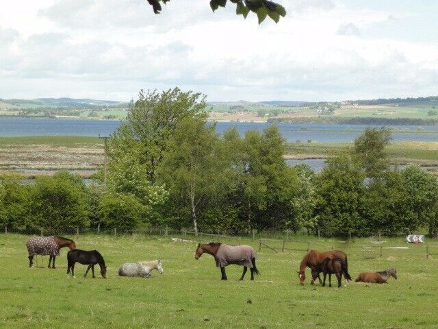 DIY Livery Stables Kinross