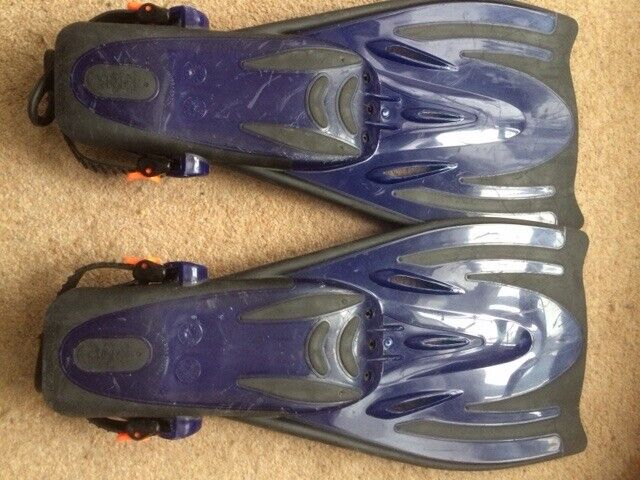 Flippers