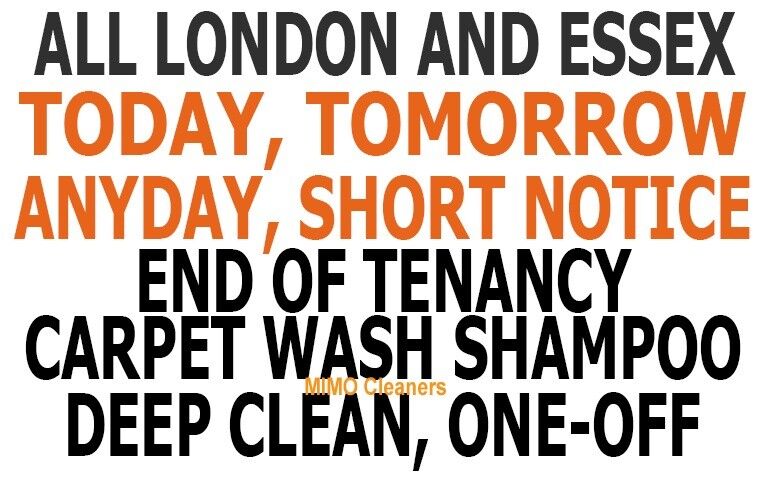 image for SHORT NOTICE PROFESSIONAL DEEP ONE-OFF END OF TENANCY CLEANER CARPET DOMESTIC HOUSE CLEANING SERVICE