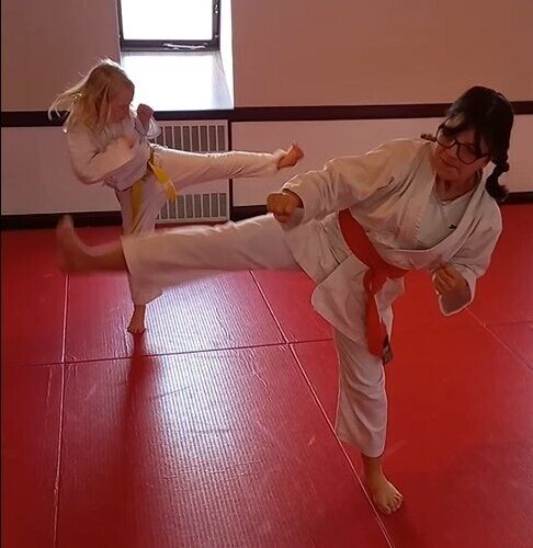 Karate in Abingdon - non-profit - ideal for adults and juniors