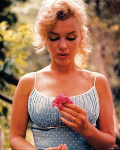 image for Marilyn Monroe Flower Vintage Paper Picture Poster Print Wall Art Home Office Decor Gift Man Cave