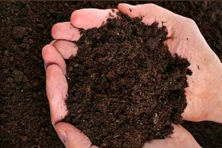 image for Soil (High Quality / Top Soil / Grade A)