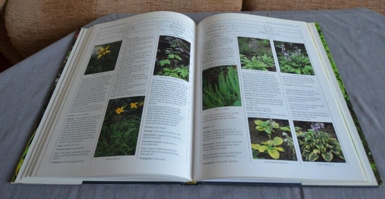 3 WATER GARDEN, 2 GARDEN DESIGN AND 1 VEGATABLE BOOKS 1 GARDEN POND PLUS WATER PLANT BASKET LINERS