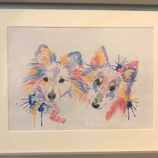 image for Water colour pencil Drawings of your pets (Any animal) 