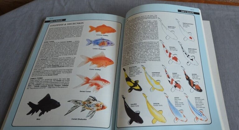 3 WATER GARDEN, 2 GARDEN DESIGN AND 1 VEGATABLE BOOKS 1 GARDEN POND PLUS WATER PLANT BASKET LINERS