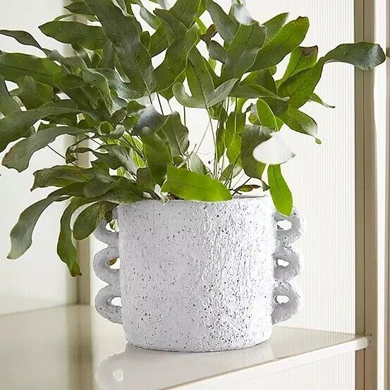 59% OFF: White Textured Cement Hoopla Planter - New in Box | in Nuneaton,  Warwickshire | Gumtree