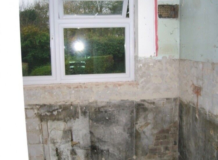 image for Plastering Service