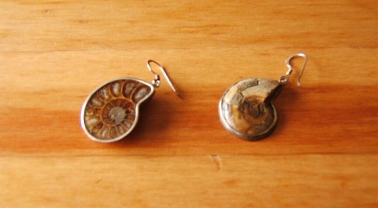 image for Ammonite Earrings Sterling (Sold - similar pendants available) Brand New Rare